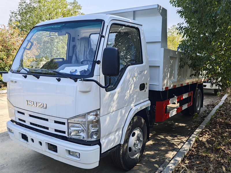 Isuzu dump truck for sale